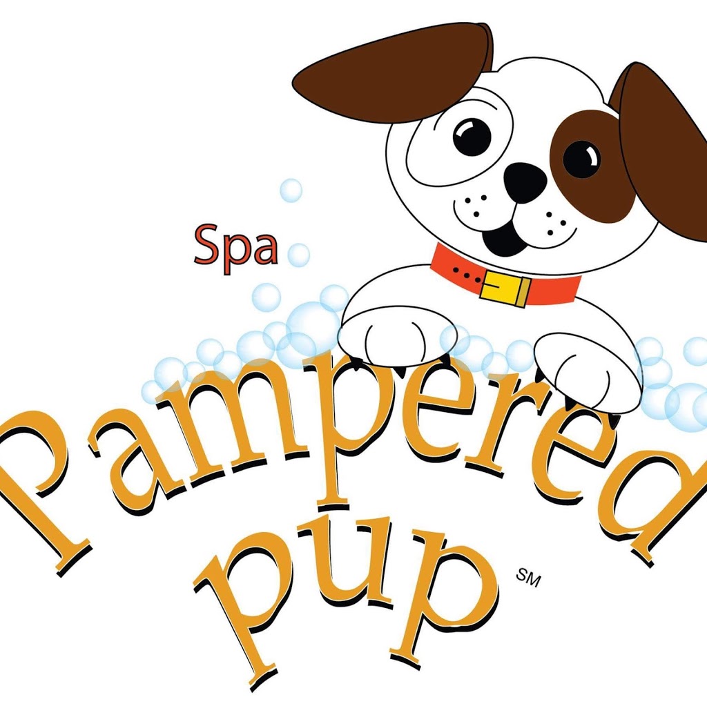 Pampered Pup Spa, Daycare & Lodging | 201 W Evergreen Pkwy, Elkhorn, WI 53121 | Phone: (262) 723-2275