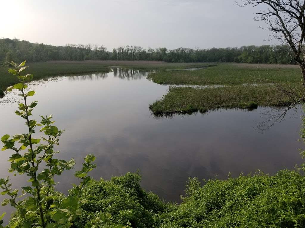 Bush Declaration Natural Resources Management Area | Abingdon, MD 21009, USA