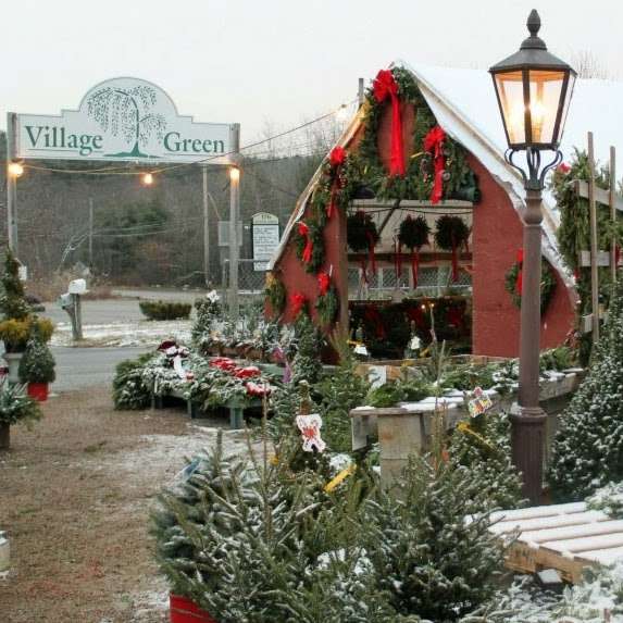 Village Green Nurseries Inc | 186 Dedham St, Norfolk, MA 02056, USA | Phone: (508) 384-2355