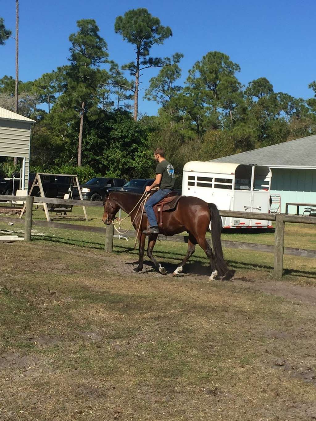 All In Horsemanship, LLC | 12550 170th Rd N, Jupiter, FL 33478 | Phone: (561) 427-9751