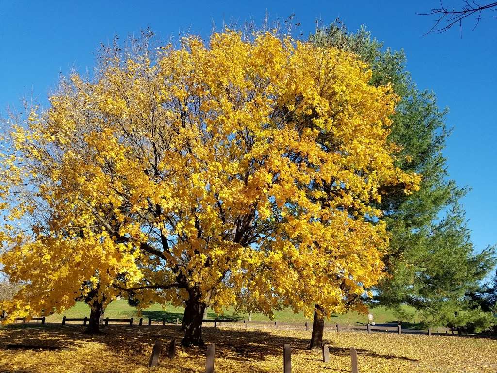 Kaercher Creek Park | 100 Kaercher Creek Rd , Hamburg, PA 19526, Hamburg, PA 19526