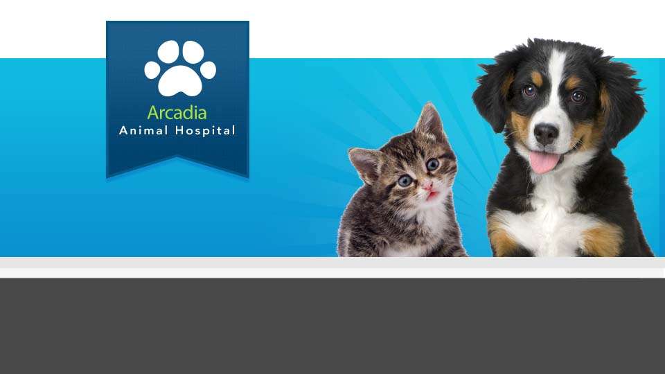 Arcadia Small Animal Hospital | 311 N Santa Anita Ave, Arcadia, CA 91006, USA | Phone: (626) 447-2244