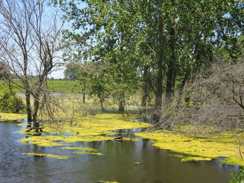 Midewin National Tallgrass Prairie | 30239 IL-53, Wilmington, IL 60481, USA | Phone: (815) 423-6370