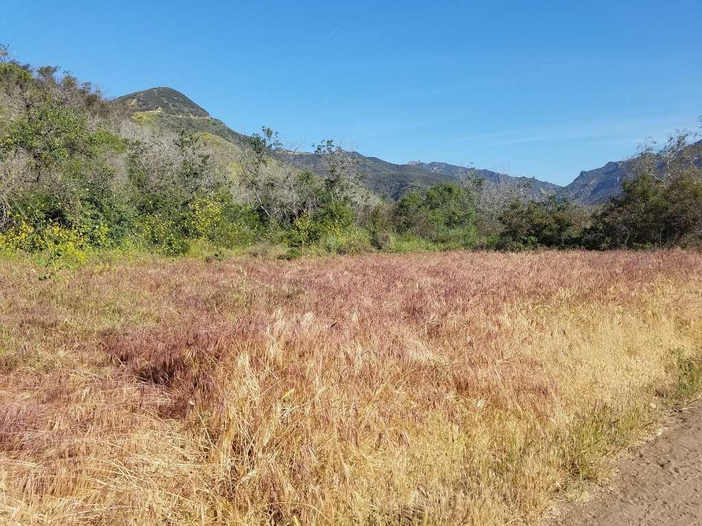 Zuma Canyon Trailhead | 5721 Bonsall Dr, Malibu, CA 90265, USA | Phone: (805) 370-2301