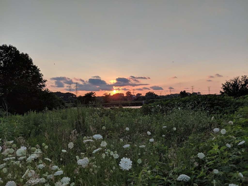 Dupage County Off Leash Dog Park | Belden Ave, Lombard, IL 60148, USA