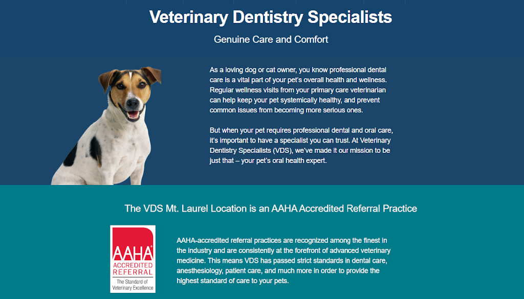 Veterinary Dentistry Specialists | 2061 Briggs Rd #403, Mt Laurel Township, NJ 08054, USA | Phone: (856) 242-9253