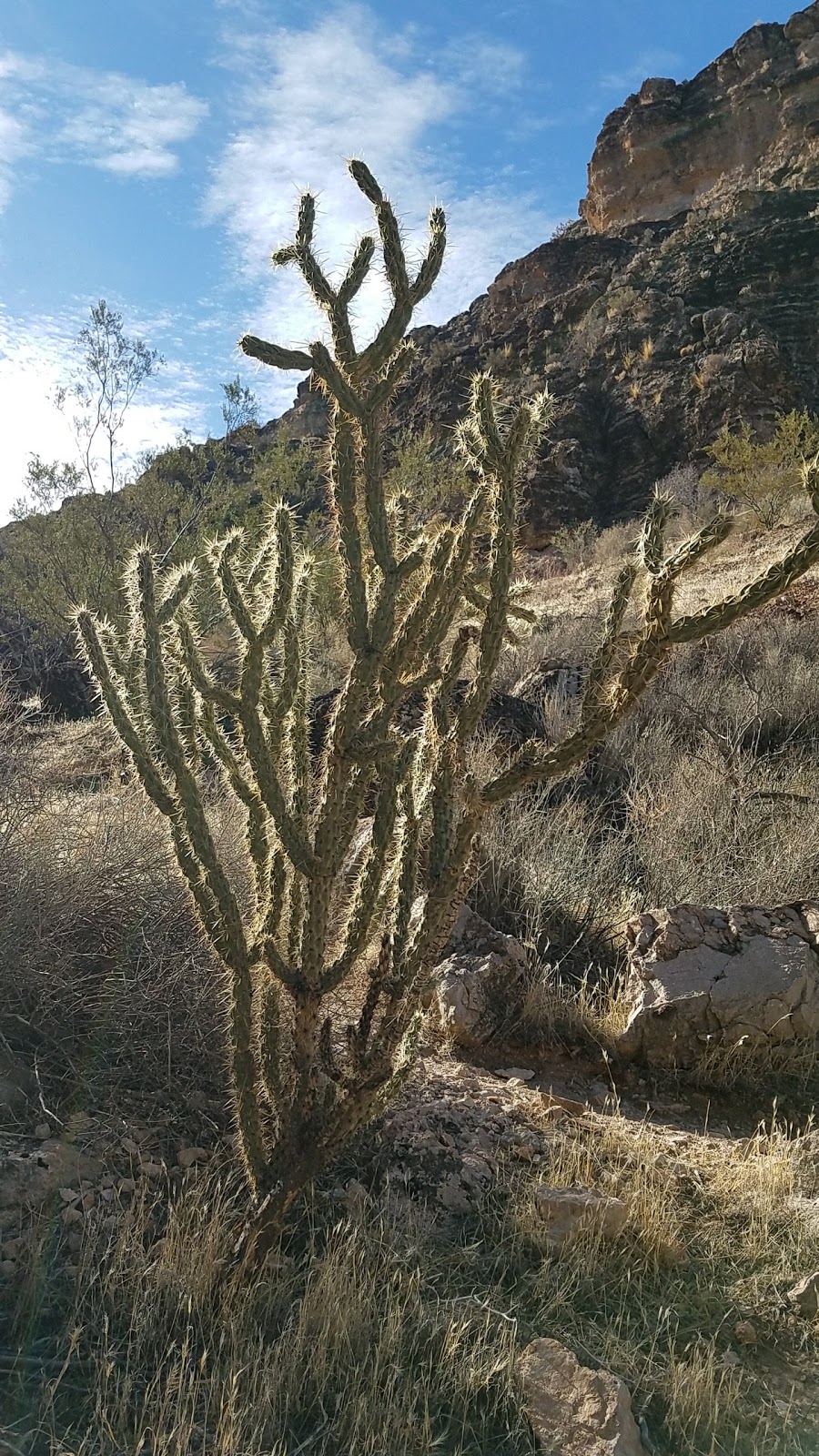 Fossil Canyon Trailhead Parking | 4053 Fossil Ridge Rd, Las Vegas, NV 89161, USA