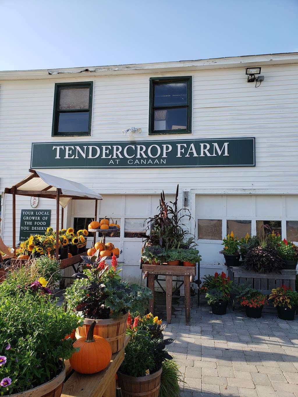 Tendercrop Farms | 93 Main St, Wenham, MA 01984, USA | Phone: (978) 468-0041