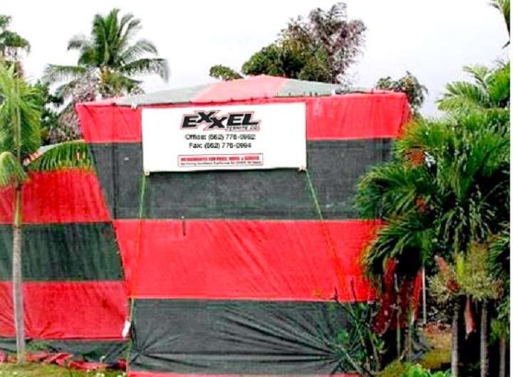 Exxel Termite | 15323 Lakewood Blvd, Paramount, CA 90723, USA | Phone: (866) 787-6483