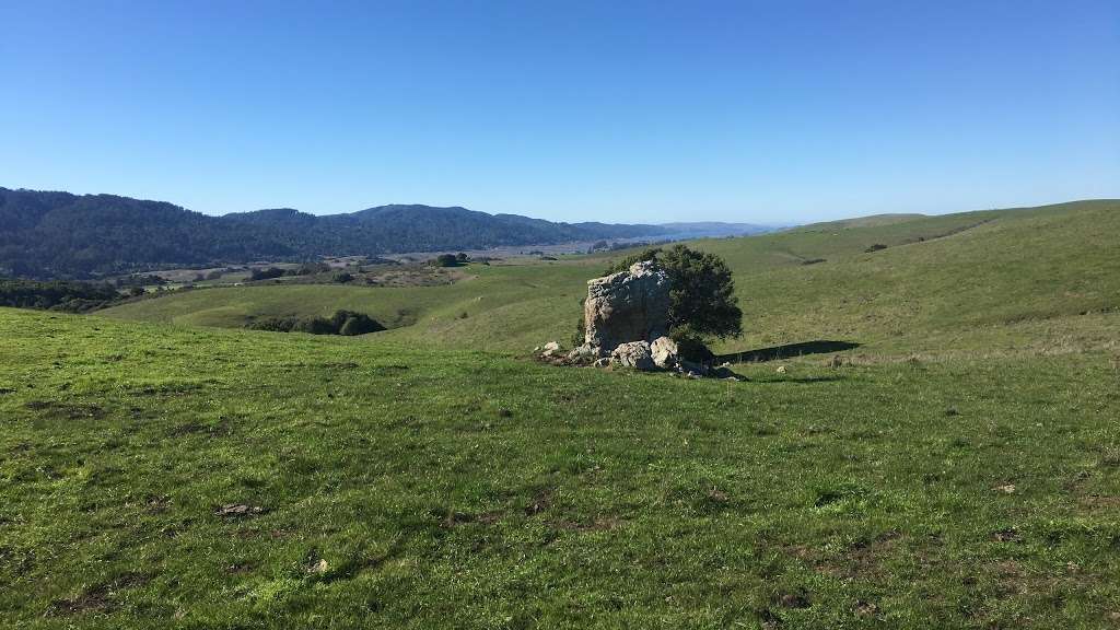 Bolinas Ridge Trailhead | Bolinas Ridge Trail, Point Reyes Station, CA 94956, USA