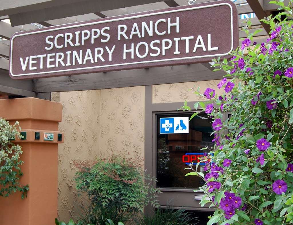 Scripps Ranch Veterinary Hospital | 9990 Scripps Ranch Blvd, San Diego, CA 92131, USA | Phone: (858) 549-4300