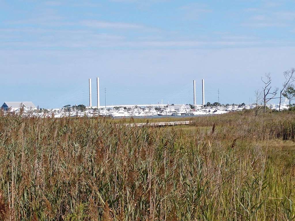 Burton Island Trailhead | 39401 Inlet Rd, Rehoboth Beach, DE 19971, USA