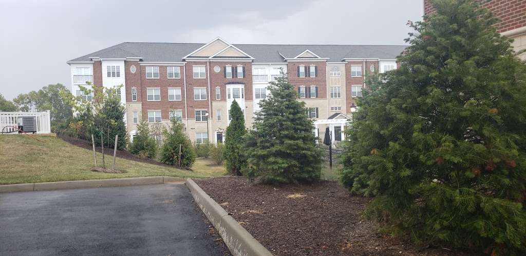 New street in Meadow Branch Apartment Complex | 201 Farley Circle, Winchester, VA 22601