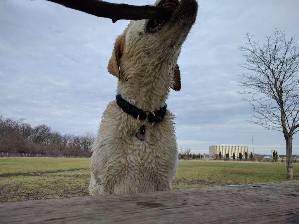 Beck Lake Off-Leash Dog Area | 9700 Gloria Ct, Glenview, IL 60025, USA | Phone: (800) 870-3666