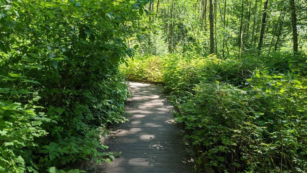 Grace Cole Nature Park | 16735 30th Ave NE, Lake Forest Park, WA 98155, USA | Phone: (206) 368-5440