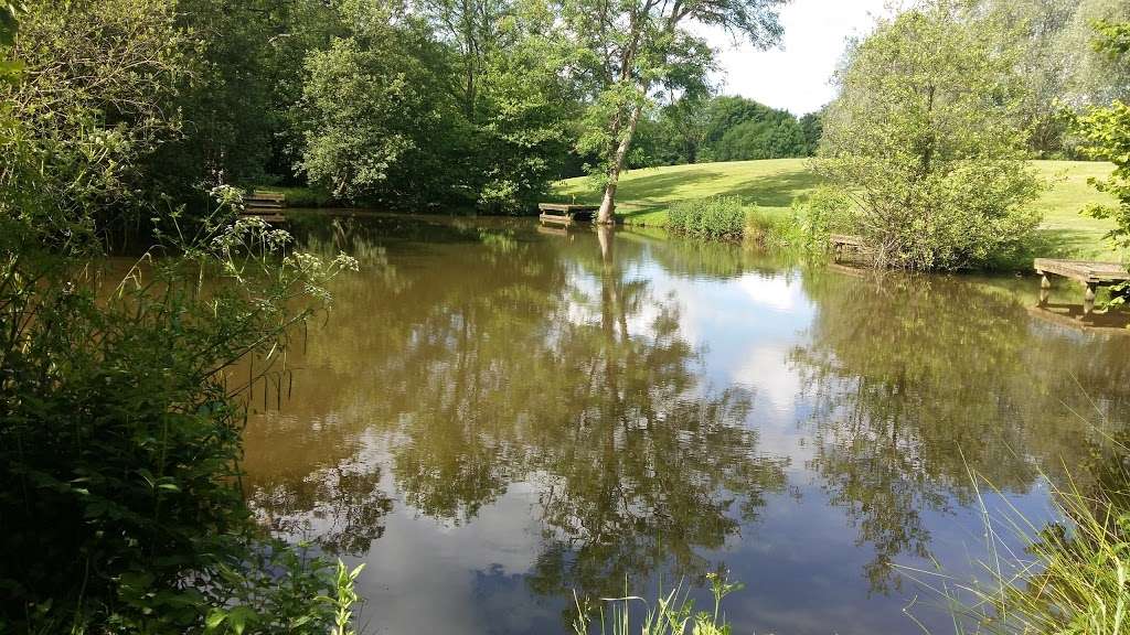 Henfold Lakes Fishery and Caravan Park | Henfold Lane, Beare Green, Dorking RH5 4RW, UK | Phone: 01306 883346