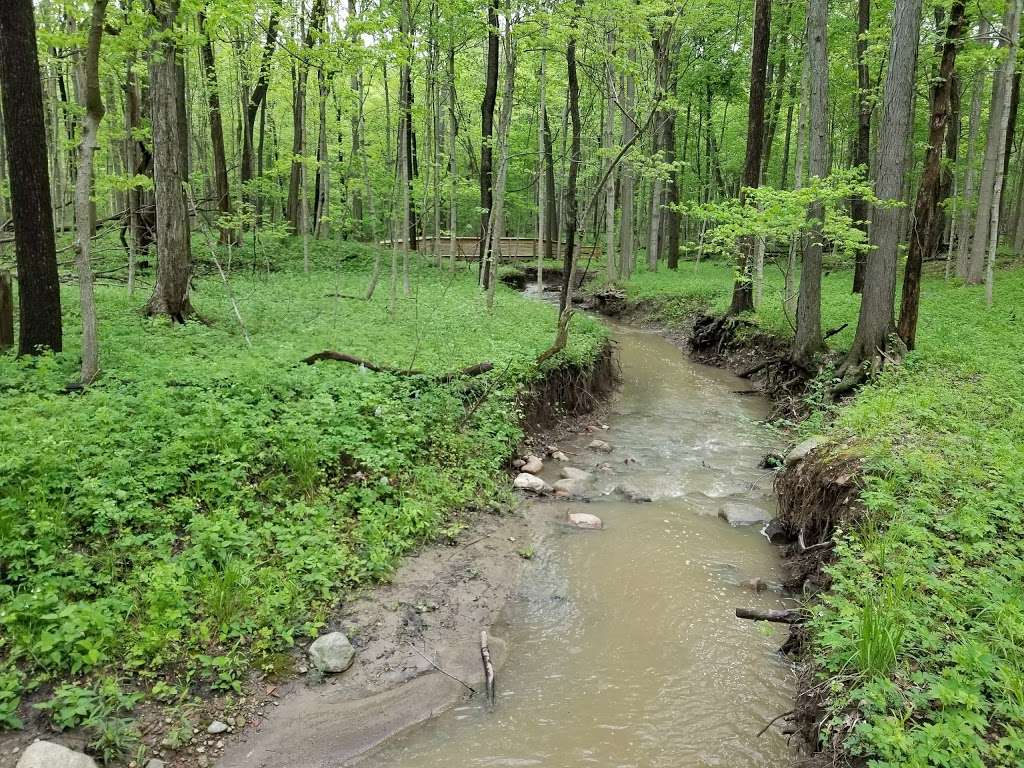 Ritchey Woods Nature Preserve | 10410 Hague Rd, Fishers, IN 46038, USA | Phone: (317) 595-3150