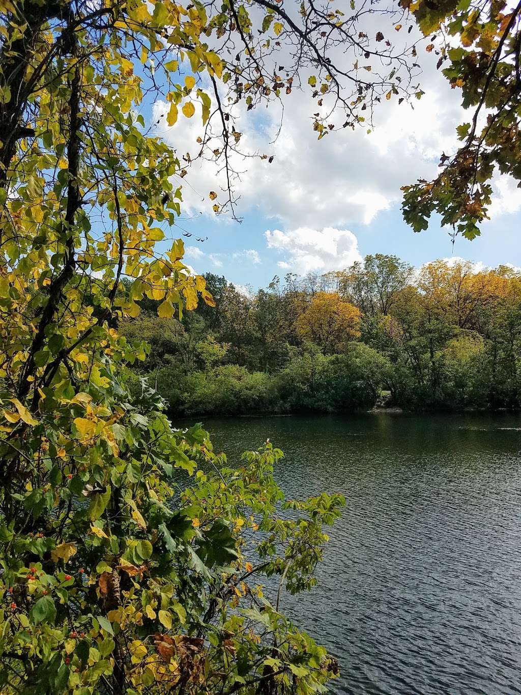 Hidden Lake Forest Preserve (Public Park Washroom Facility) | Lombard, IL 60148