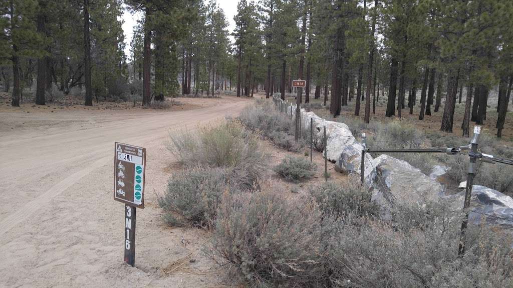 Big Pine Flat Family Campground | Coxey Rd, Apple Valley, CA 92308, USA | Phone: (909) 382-2790