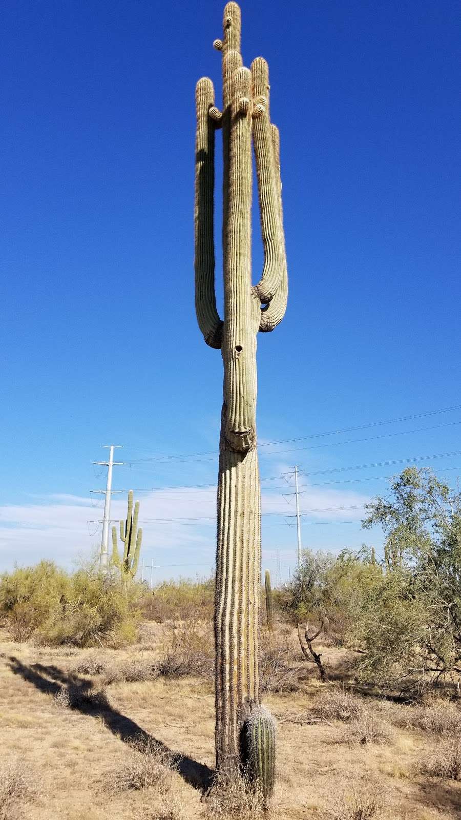 Sonrisa Park | 12812 N 52nd St, Phoenix, AZ 85004, USA | Phone: (602) 262-6696