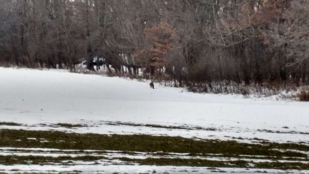 Phantom Ranch | W309 S10910 County Road I, Mukwonago, WI 53149, USA | Phone: (262) 363-6940