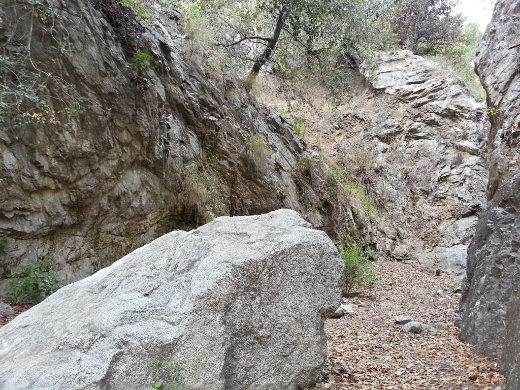 Bailey Canyon Wilderness Park | 451 W Carter Ave, Sierra Madre, CA 91024 | Phone: (626) 355-5278