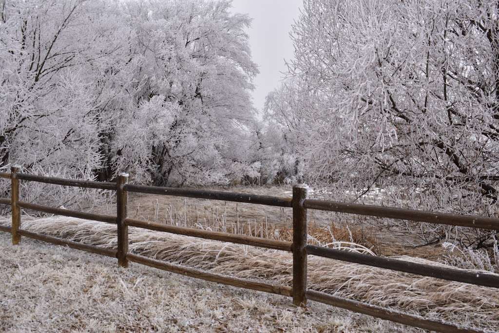 Woodlake Trailhead | 13998 Woodlake Rd, Elbert, CO 80106