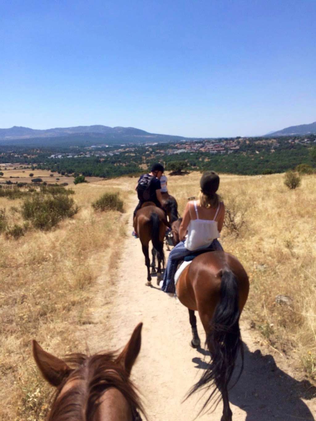 S&D HorseBack Riding | 12191 Rooks Rd, Whittier, CA 90601, USA | Phone: (909) 645-1270