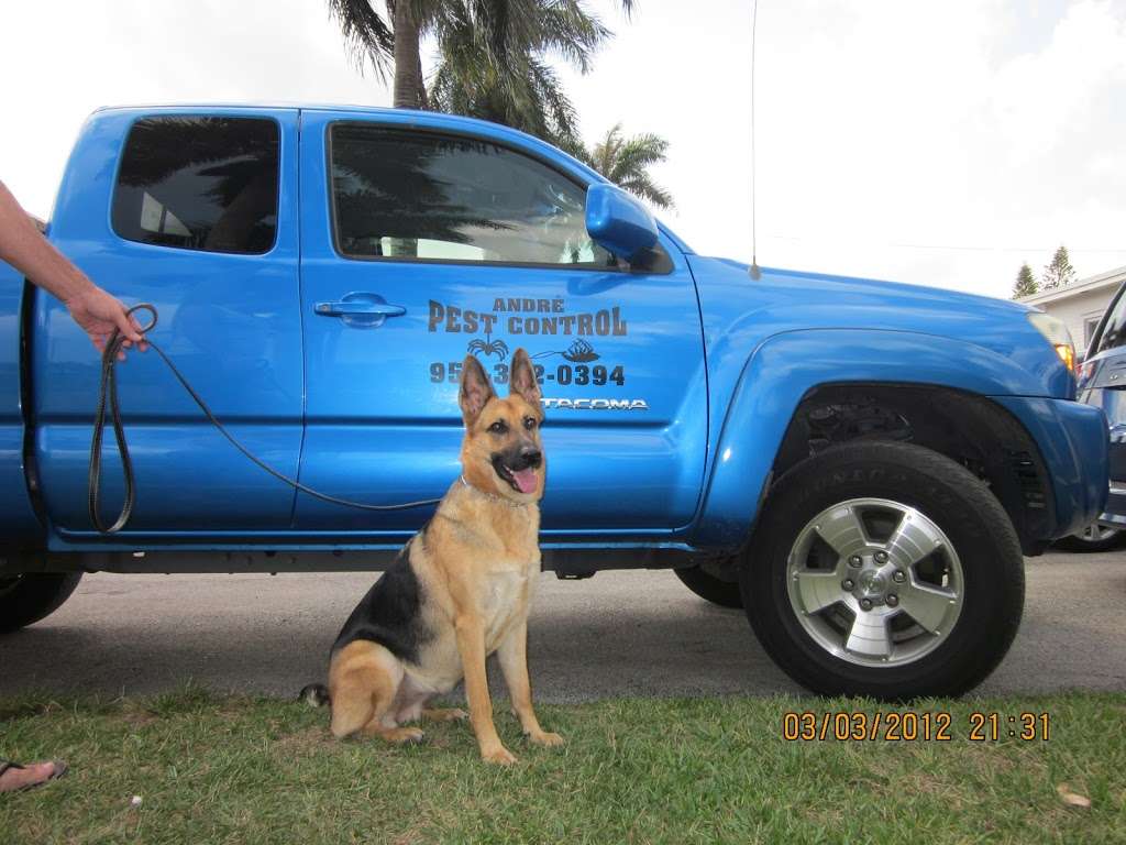 Andre Pest Control | 3229 Grant St, Hollywood, FL 33021 | Phone: (954) 322-0394