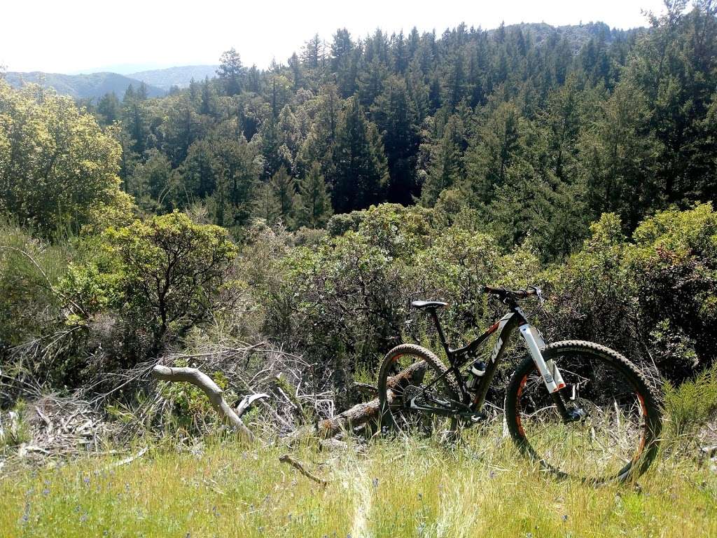 Saratoga Gap Open Space Preserve | 28798 Big Basin Way, Los Gatos, CA 95033 | Phone: (650) 691-1200