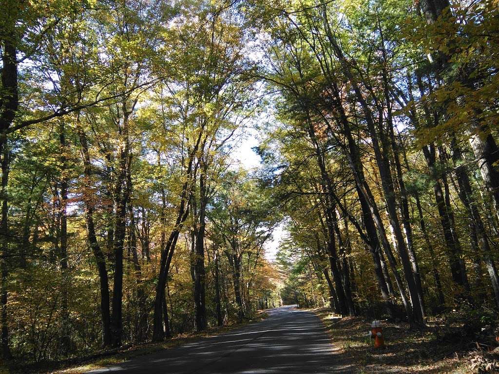 Franklin State Forest | 80 Forge Hill Rd, Franklin, MA 02038