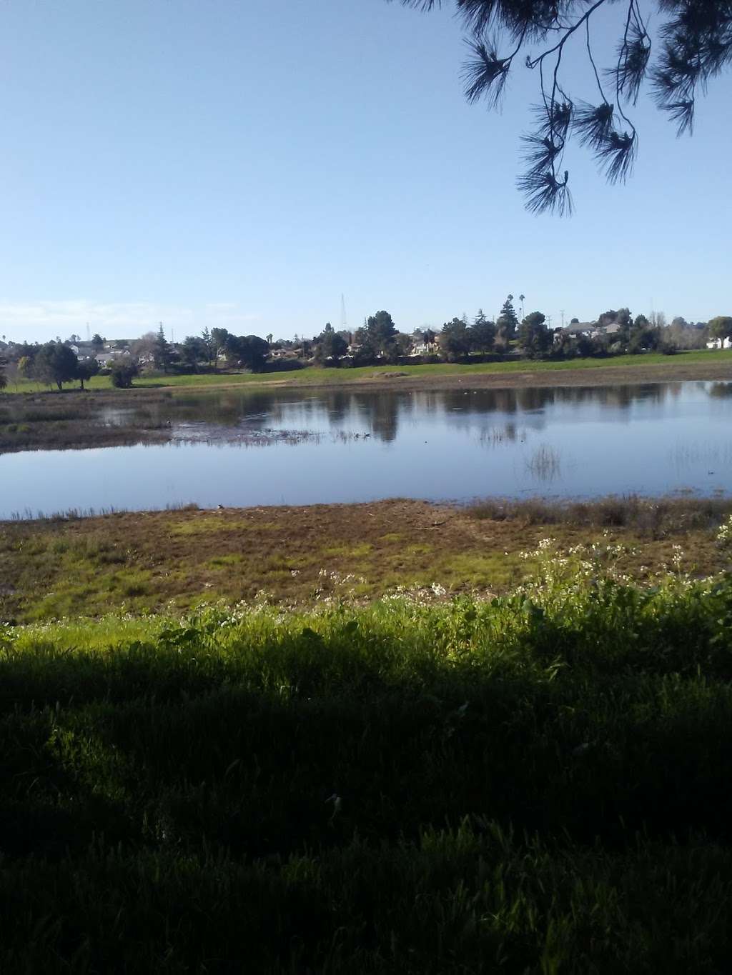 Wilson Lake Dalwigk Park | 915 Solano Ave, Vallejo, CA 94590 | Phone: (707) 648-4600