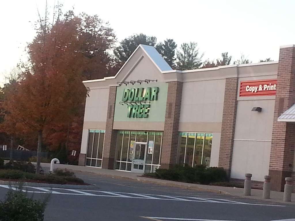 Dollar Tree | 124 NH-101A, Amherst, NH 03031, USA | Phone: (603) 402-5020