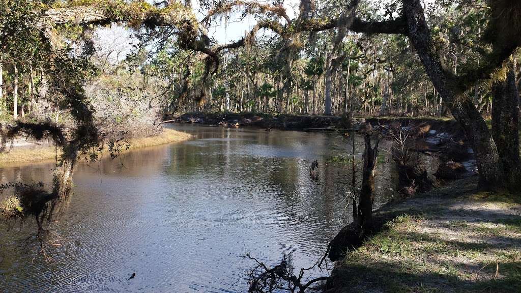 Brumley Rd Trailhead | 2500 Brumley Rd, Chuluota, FL 32766, USA