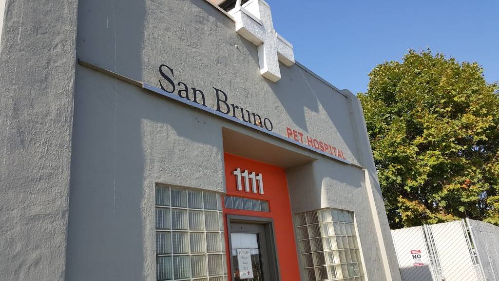 San Bruno Pet Hospital | 1111 El Camino Real, San Bruno, CA 94066, USA | Phone: (650) 583-5039
