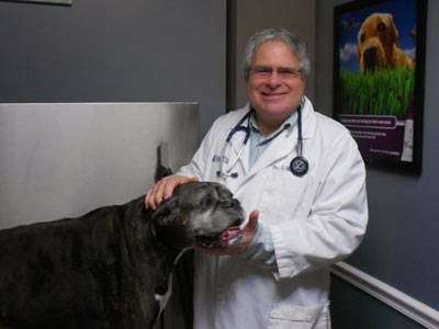 Maywood Veterinary Clinic | 125 E Passaic St, Maywood, NJ 07607, USA | Phone: (201) 368-0607