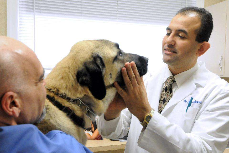 Animal Hospital Of Fairfield | 428 Fairfield Rd, Fairfield, NJ 07004, USA | Phone: (973) 227-8864