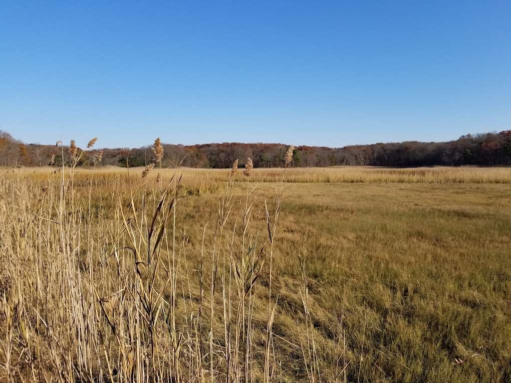 Interpretive Center at Cheesequake State Park | Interpretive Center, Matawan, NJ 07747 | Phone: (732) 566-2161