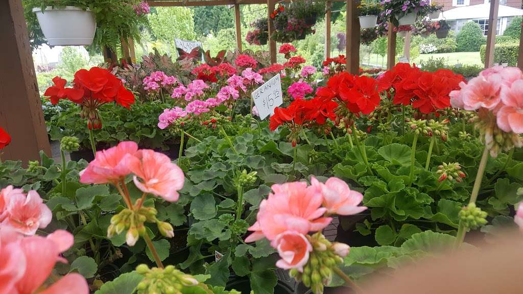 Reynolds Farms Nursery and Country Garden Center | 23 Richards Ave, Norwalk, CT 06854, USA | Phone: (203) 866-5757