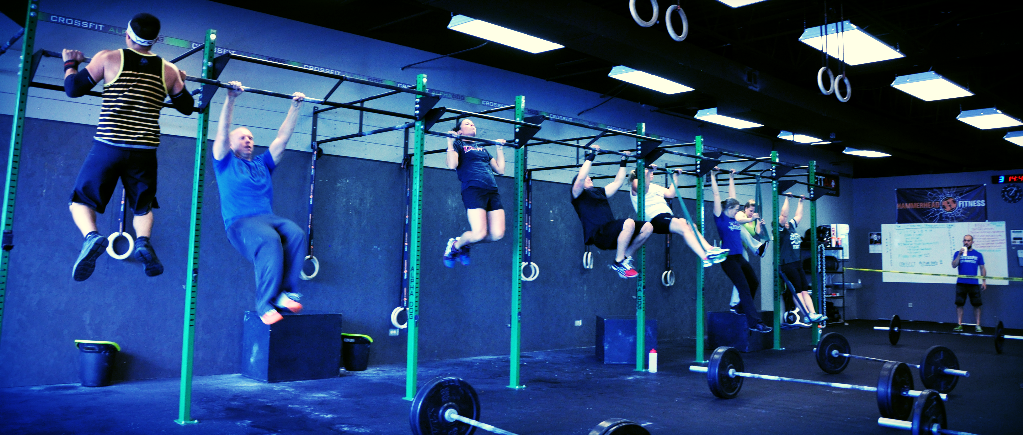 Crossfit Alpha Dog | 1300 S Main St, Lombard, IL 60148, USA | Phone: (630) 330-6591