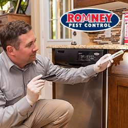 Romney Pest Control 17170 Jordan Rd Suite 302 Selma Tx 78154 Usa