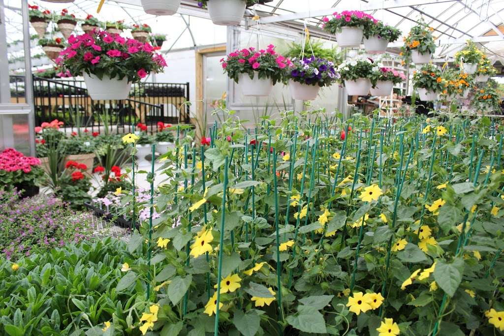 Cinder Road Greenhouse | 153 Cinder Rd, New Providence, PA 17560, USA | Phone: (717) 786-2394