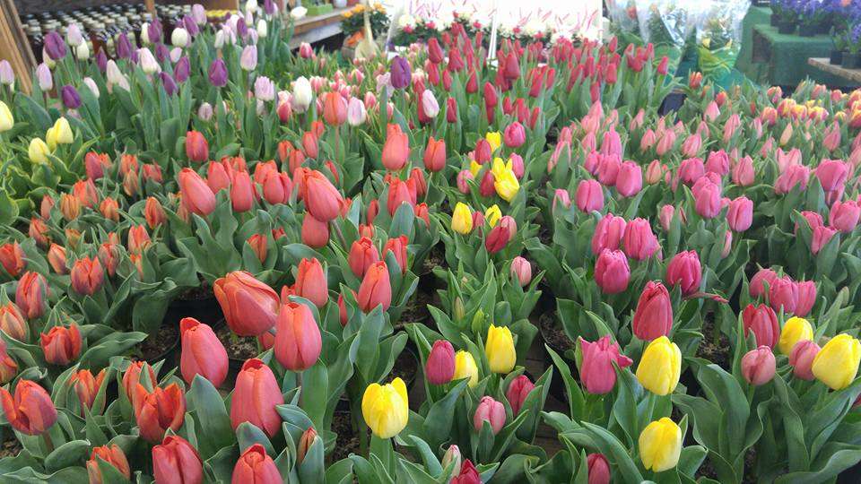 Moores Farm Market | 66 Atlantic City Blvd, Bayville, NJ 08721, USA | Phone: (732) 349-2876 Moores Farm Market | 66 Atlantic City Blvd, Bayville, NJ 08721, USA | Phone: (732) 349-2876