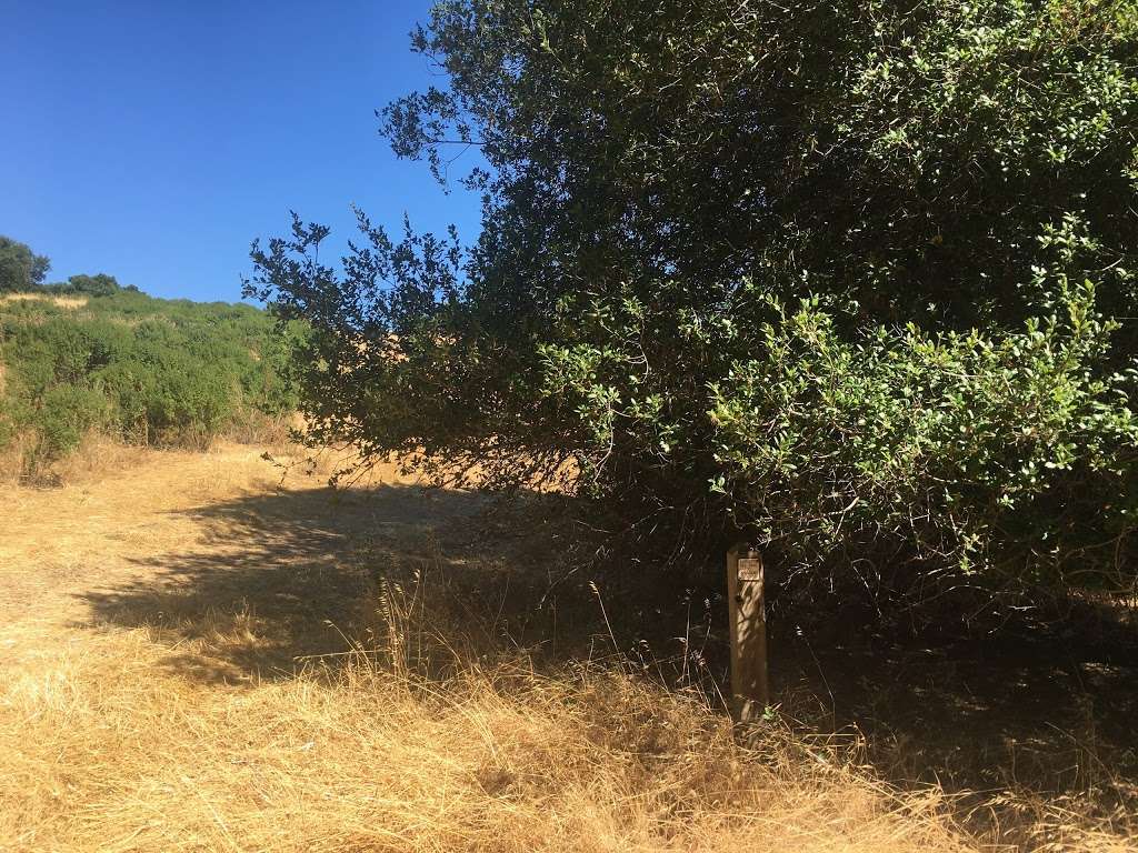 Intersection of Lafayette Reservoir Rim Trail & Moraga Way Trail | Jeep Trail, Lafayette, CA 94549, USA