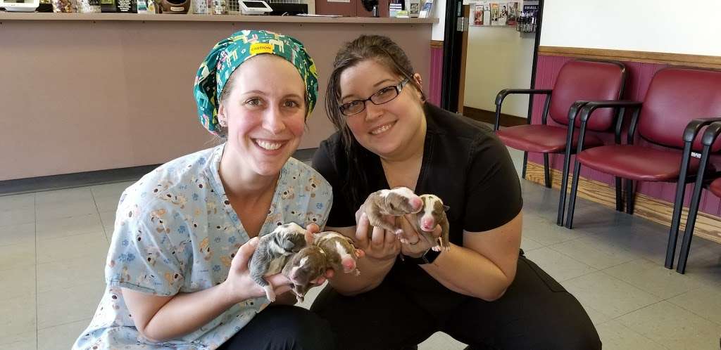 Valley Animal Hospital | 993 W Valley Blvd #120, Bloomington, CA 92316, USA | Phone: (909) 877-2384