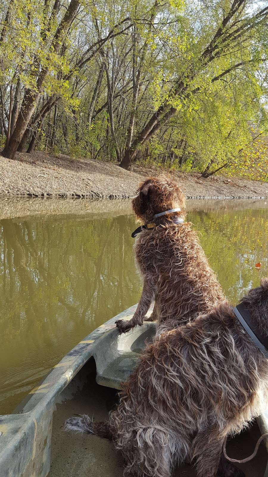 Lower Ferguson Marsh (Perry Wildlife Area) | Valley Falls, KS 66088, USA | Phone: (785) 945-6615