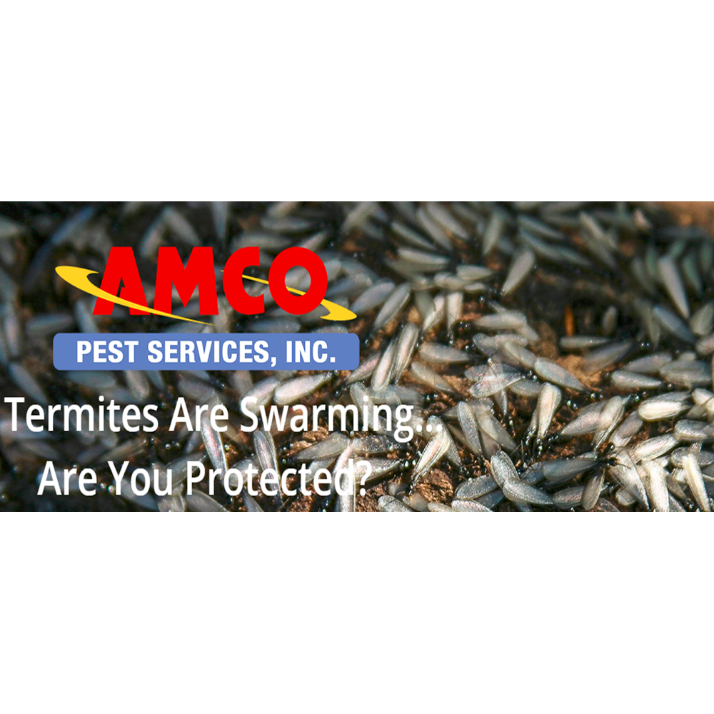 Pest Man Termite Pest Control Div Of Amco Pest 1775 Nj 34 Wall Township Nj 07727 Usa