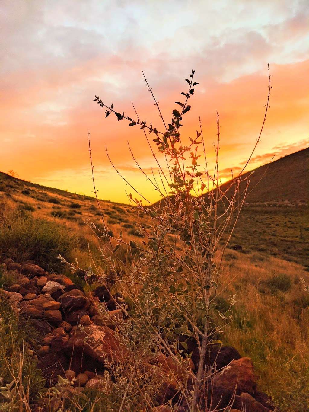 Thunderbird Conservation Park Trail | 5486 W Pinnacle Peak Rd, Glendale, AZ 85310, USA