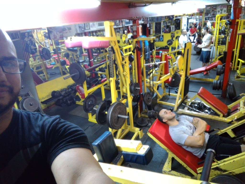 Pachecos Physique Gym | 1545 W 40th St, Hialeah, FL 33012, USA | Phone: (305) 823-8346