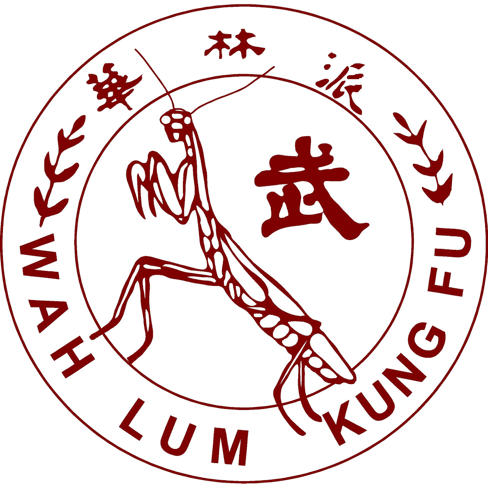 Wah Lum Wellness | 468 Merrimack St, Methuen, MA 01844, USA | Phone: (978) 725-2595